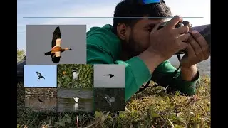 Sunday Vlog with UniyalG - Asan bird sanctuary / Asan wetlands / Dhalipur Lake