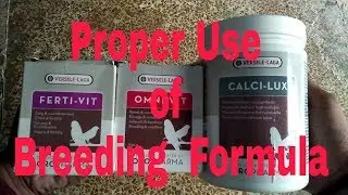 Best Breeding Supplement for African Grey | Breeding supplement for birds | 2018