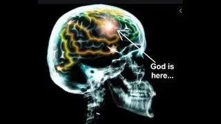 Prof. Steven Pinker  The Psychology of Religion