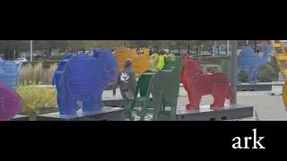 Ark │GH4 Anamorphic test