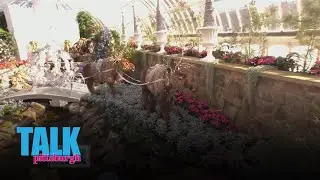 Spending time at Phipps Conservatory checking out this year's Holiday Magic event