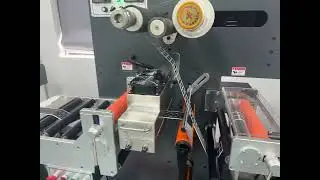 SD MODELS ✅
