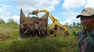 BELL Cane Loader 013 Proses Muat Tebu Ke Truk, PG Camming, kabupaten bone