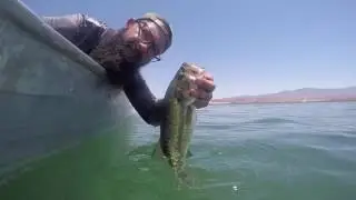 Summertime Bass Fishing Using 8