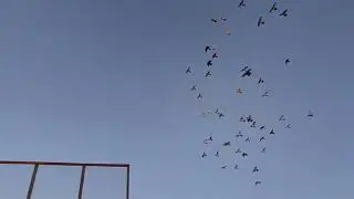 وصلت الهديه من أحد الاخوه المتابعين جزيل الشكر والتقدير الخونه بل شعب وماقصر ماقبل نذكر اسمه والصيد 