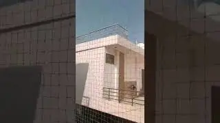 Best Bird Netting Services in Delhi | Balcony Pigeon Safety | Bird Control Solutions