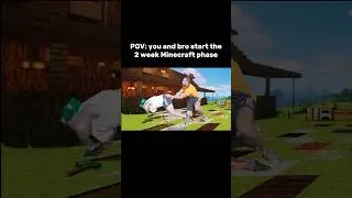 POV: the 2 week Minecraft phase with bro😂 #minecraft #gaming #funny