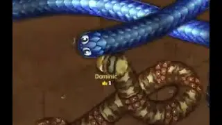 LITTLE BIG SNAKE - TOP 10 💙💙💙