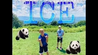 Ice- Official Song by Squidkid (ft. Patty Ice)