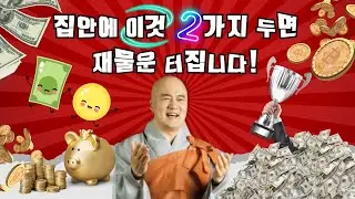 집안에 이것 2가지 두면 재물운 터집니다-법담대사님법문