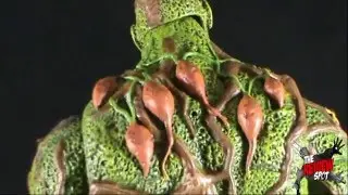 Toy Spot - Mattel&nbsp;DC Universe Classics&nbsp;SDCC 2011&nbsp;Swamp Thing