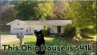 This Ohio House 🏡 is $41k. Black Cat 🐈‍⬛ not included ;;))