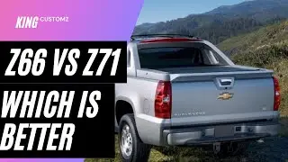 z66 vs z71: which has more advantage? 2/17/2021