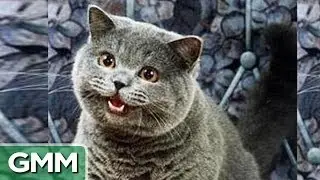 5 Weirdest Websites on the Internet