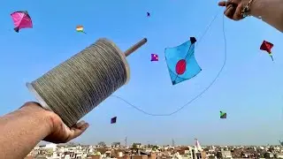 Kite Flying With New Sky King Manjha Testing | Kite Fighting | Kite Cutting | Kite