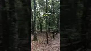 O'Leno State Park Campground in High Springs Florida