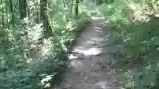 Ascending Sinkhole Trail