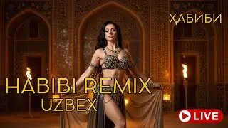 Arabic Habibi Remix &ndash; Festival Night Energy Uzbekistan 2026