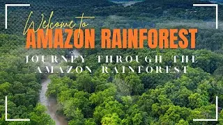 Journey Through the Amazon Rainforest || FoxiLet || Secrets, Wonders, and Conservation.