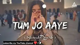 Tum Jo Aaye Lo fi-(fahim sad boy )
