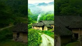 Beautiful morning relaxing music, healing music, meditation music,yoga music,morning music #shorts