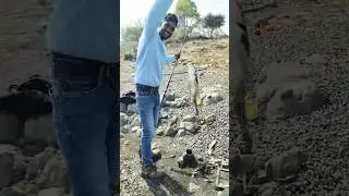 Best Float Fishing Tilapia | Tilapia Fishing Baits | #yutubeshorts #fishingtrip #viralshort