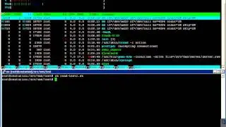 Qemu-KVM and mdraid performance