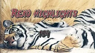 ReXo HL 104 @Shindo [CC in the description]