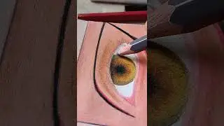 Amber #eyes are so pretty ✨🤎💛🧡especially under the sunlight 🤌🏻✨
