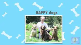 Dog Obedience Classes Los Angeles Call (661) 803-8461 Santa Clarita Dog Obedience