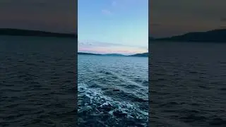 Ferry Time ⛴️