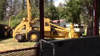 BC Forest Discovery Train Ride