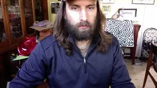 Being No One: The Self-Model Theory of Subjectivity by Thomas Metzinger read by thinkahol pt. 1.2