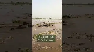 flood in Pakistan | village life secrets #vlogs #vlogger