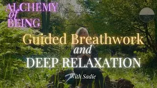 7-Minute Guided Breathwork & Deep Relaxation | Quick Stress Relief Session | Alchemy of Being