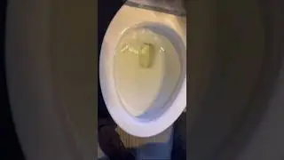 Как понизить уровень воды в унитазе! #сделайсам #ванная