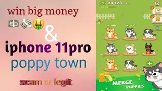 Puppy town scam or real || win big money playing puppy town || online earning with what next ?
