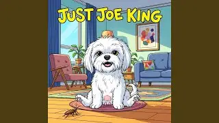 Dog's Vacation