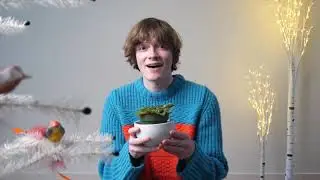 Plant Talk (Holiday Performance) by Zach Polis