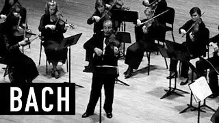 Bach Violin Concerto in E Major BWV1042
