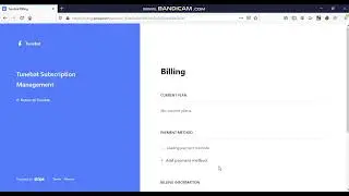 $200 Bounty | Sensitive Session Token in URL | BugBounty | Tunebat com| POC