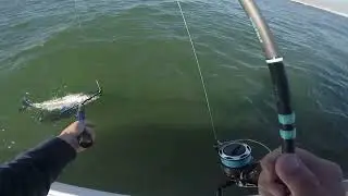 Striped Bass Fall Fishing Frenzy 102124, Jones Inlet New York