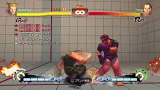 [ウル4]12/27棋士黒さんとこでフルーツ棚卸し&忘年会ですよ[usf4]