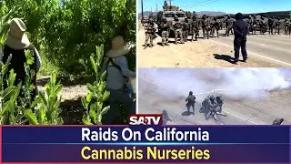 R-a-i-d-s On California Cannabis&nbsp;Nurseries | SATV