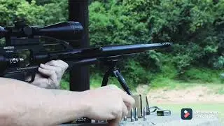 Pcp afc 308 / 7.65mm