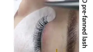 ✨3D Long Stem Premade Volume Fans tutorial [UBL Lash Supplies]