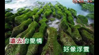 奚秀蘭 ~ 遙遠寄相思