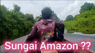 Serasa di Sungai Amazon ‼️ Menyusuri anak Sungai menuju Spot Mancing #fishing #mancing