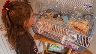 Darina is meeting her first pet - Дарина встречает своего первого питомца😊🥰🤩