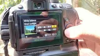 Bird Photography tips malayalam